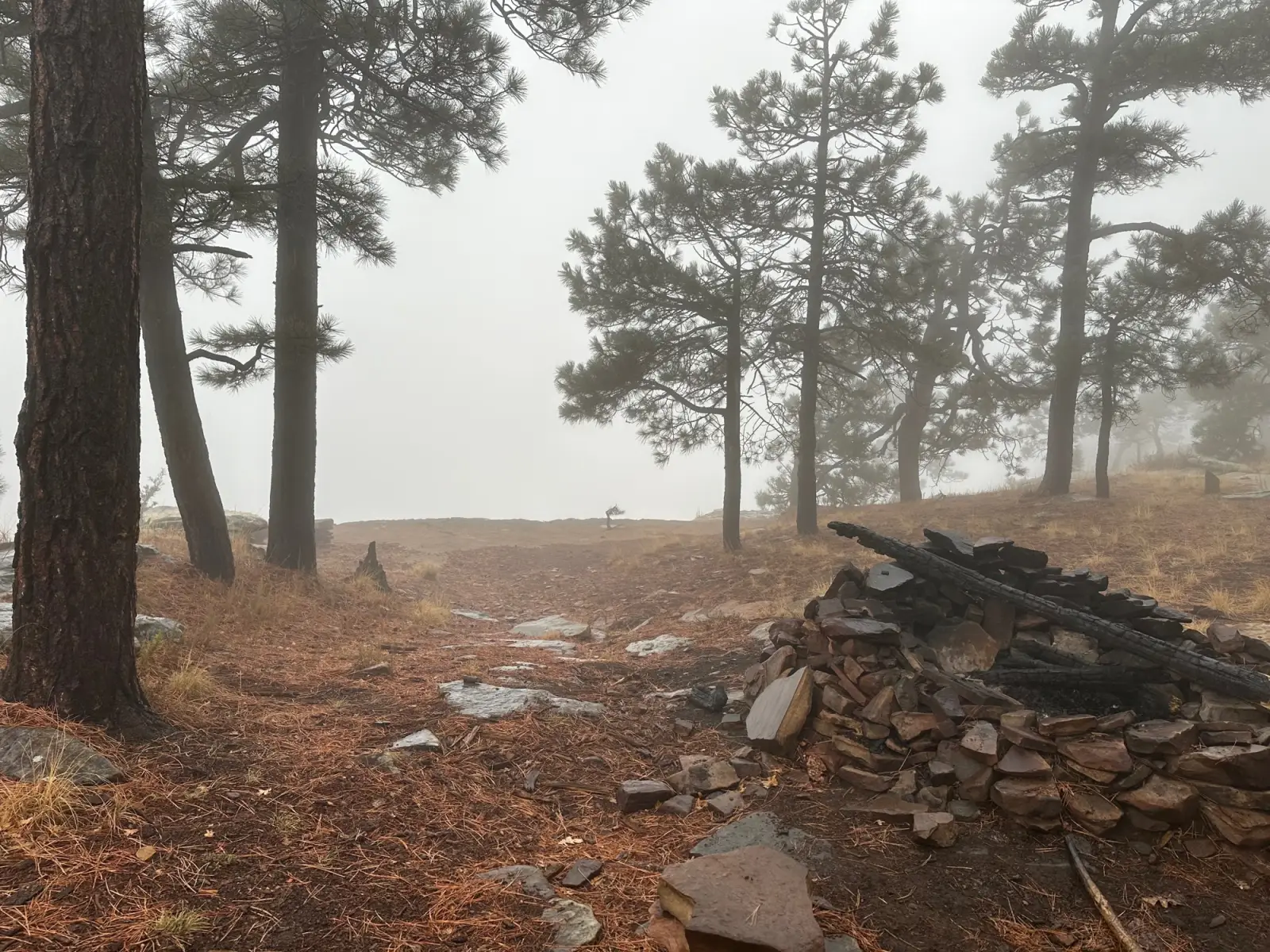 Fog rolling through pines on a cliff near Payson, Arizona